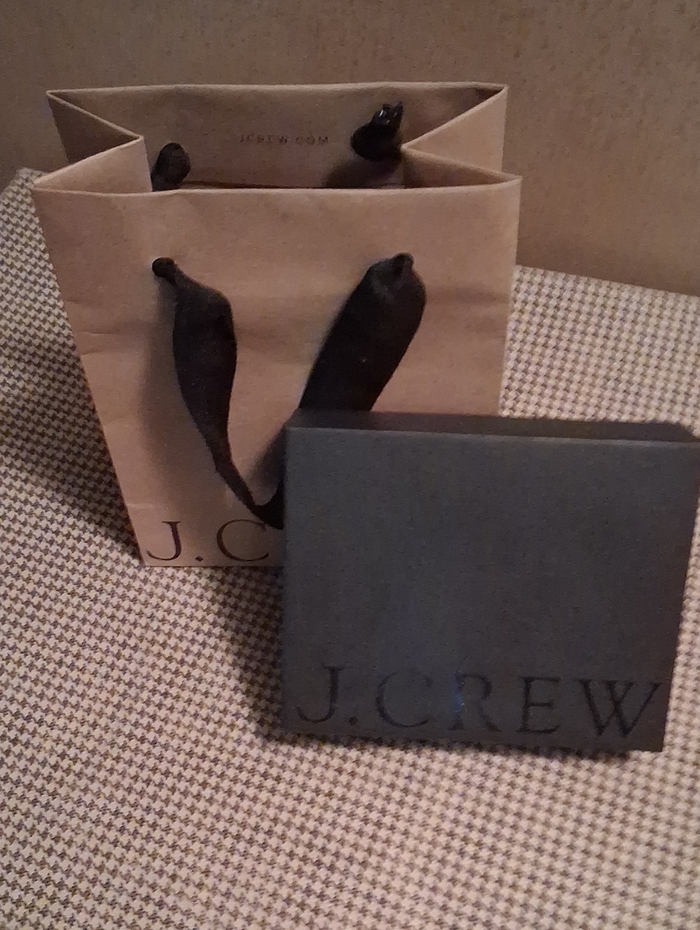 J. Crew Gift Bag and Box